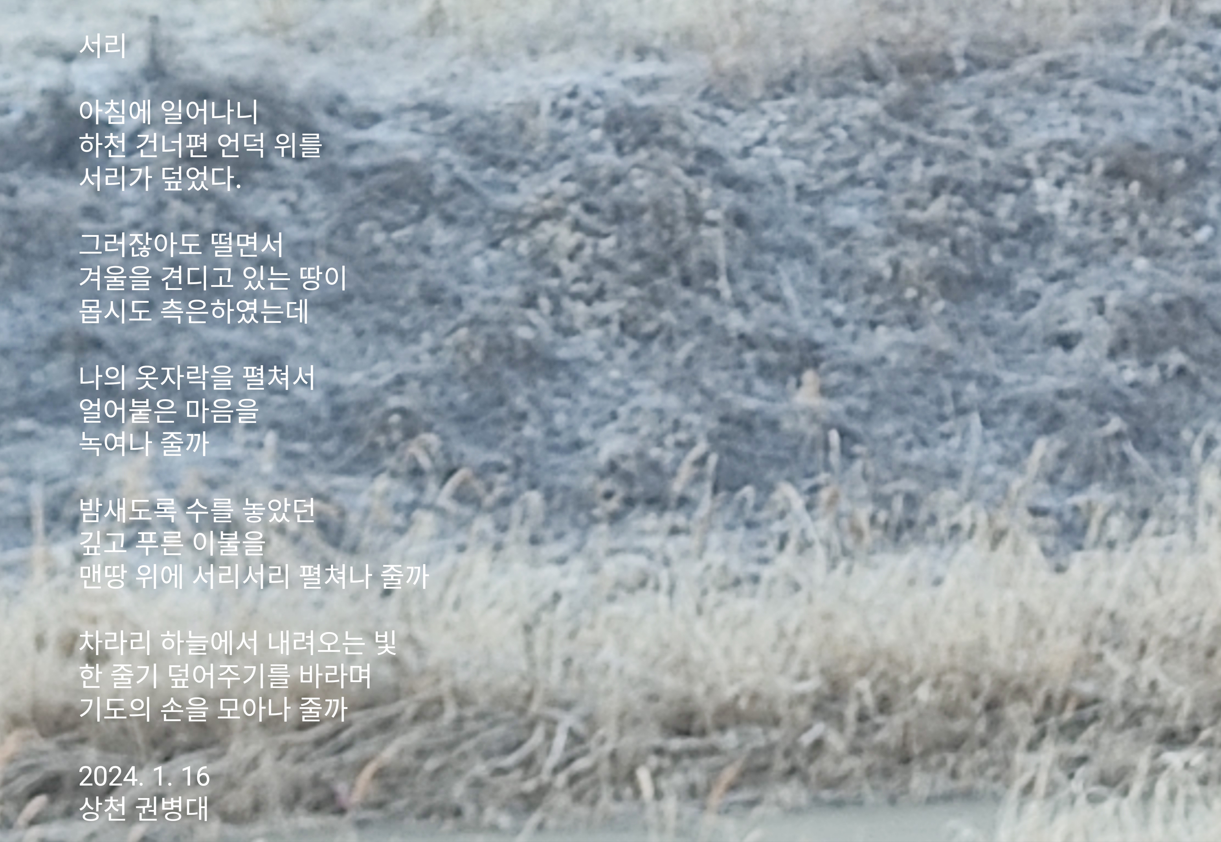서리빛 이미지