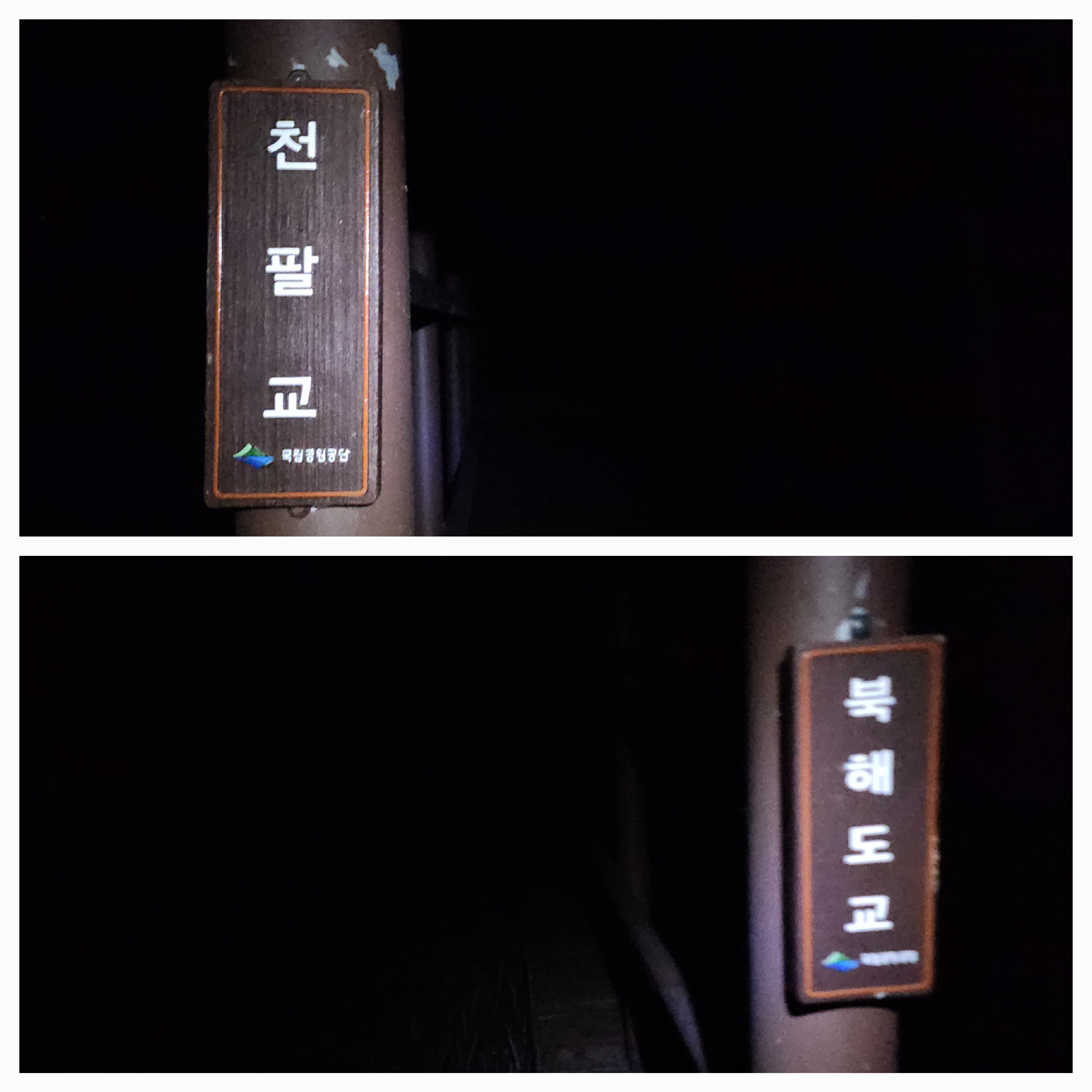연화 이미지