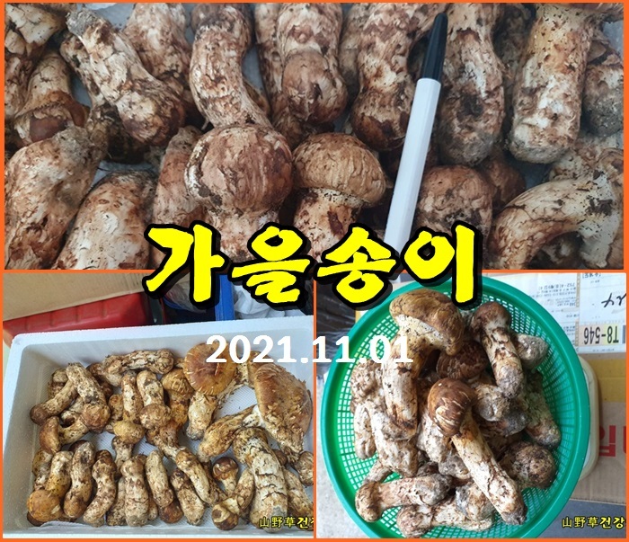 산골건강원 이미지