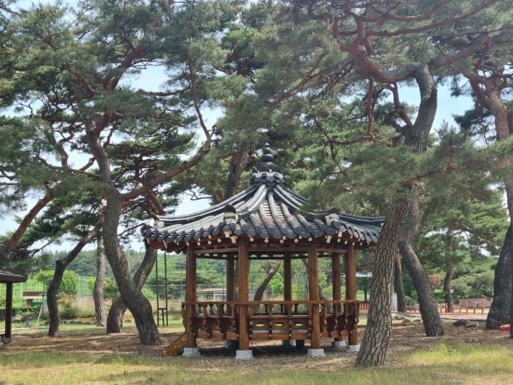 송라중학교 이미지