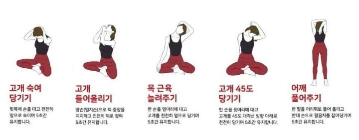 도리도리 이미지