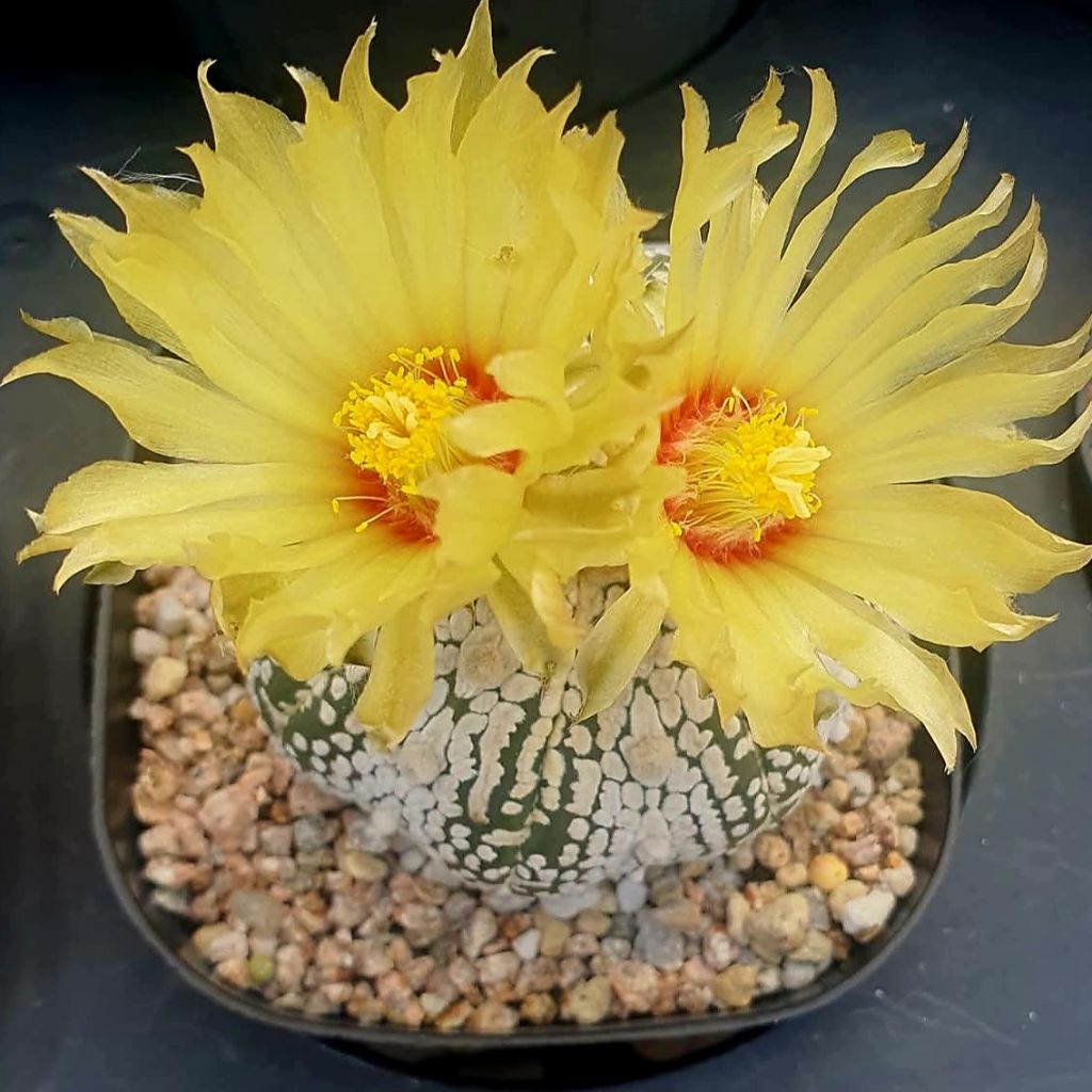 수연슈퍼 이미지