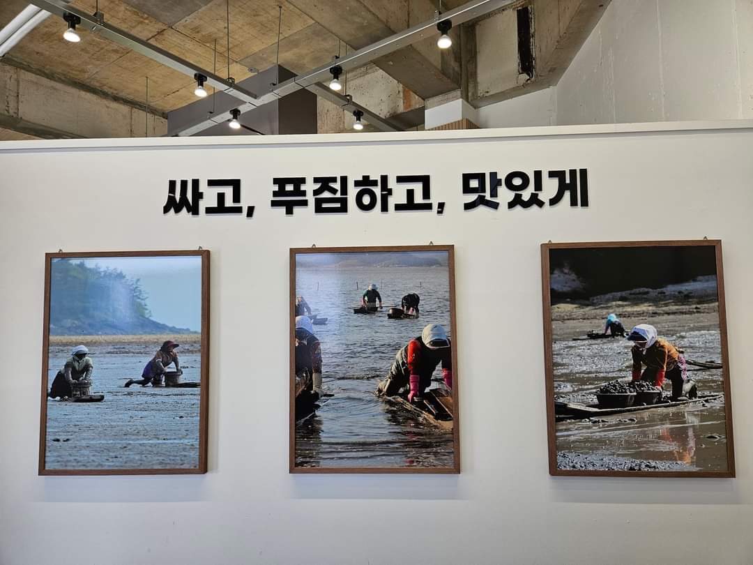 해운대31cm 해물칼국수 이미지