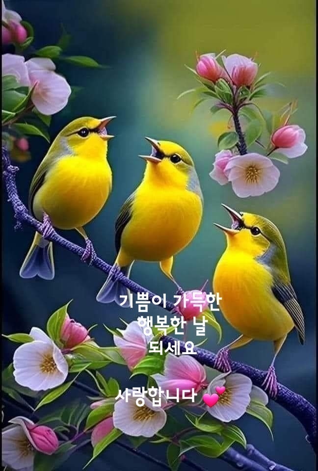 건강최고 이미지