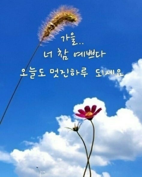 너참예쁘다 이미지