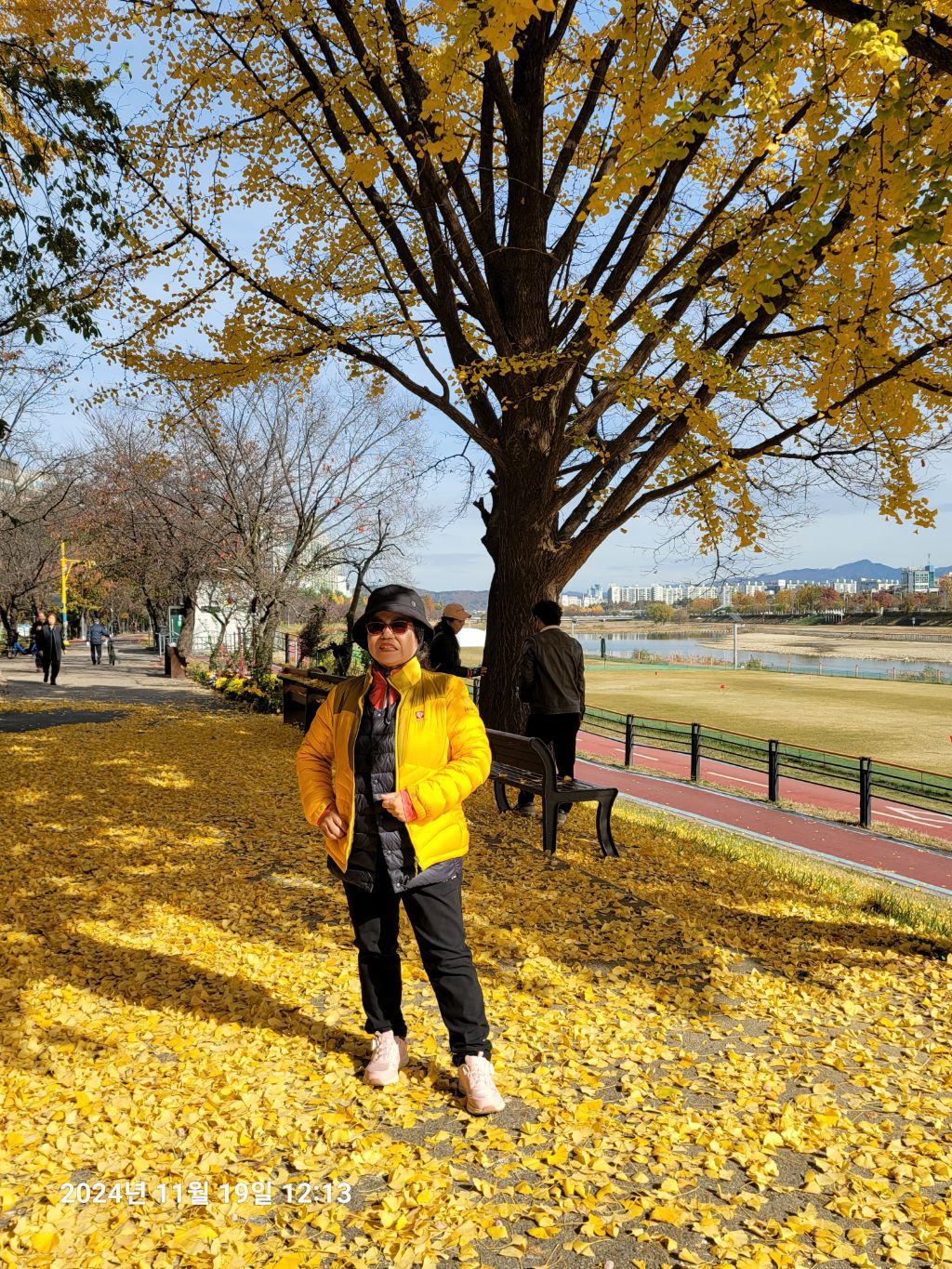 송하 이미지
