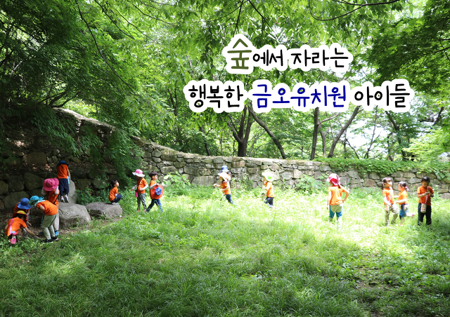 금오유치원 이미지