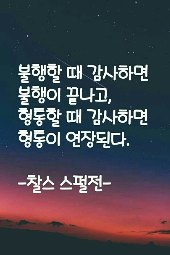 쁄라 이미지