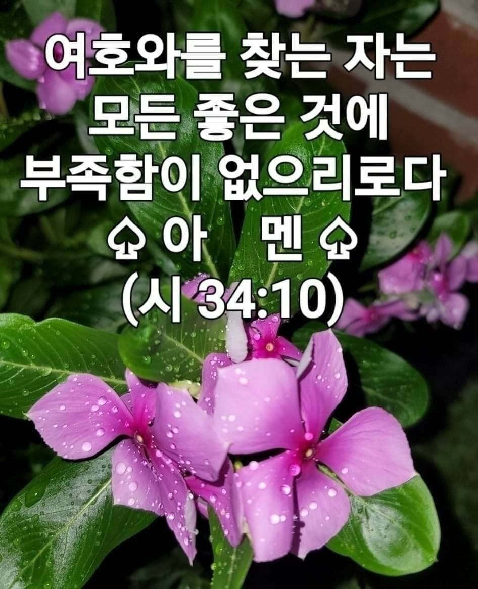 먹고마시고 이미지