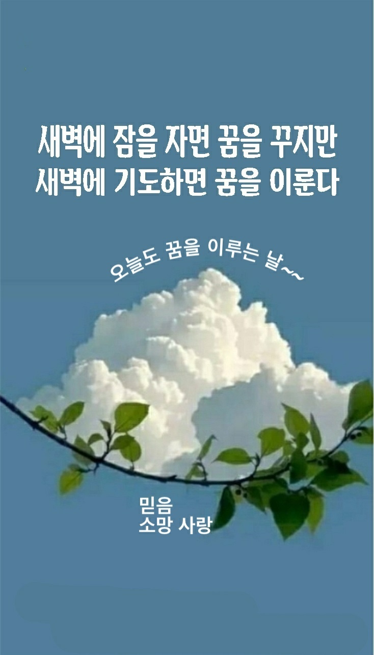 안*식 이미지