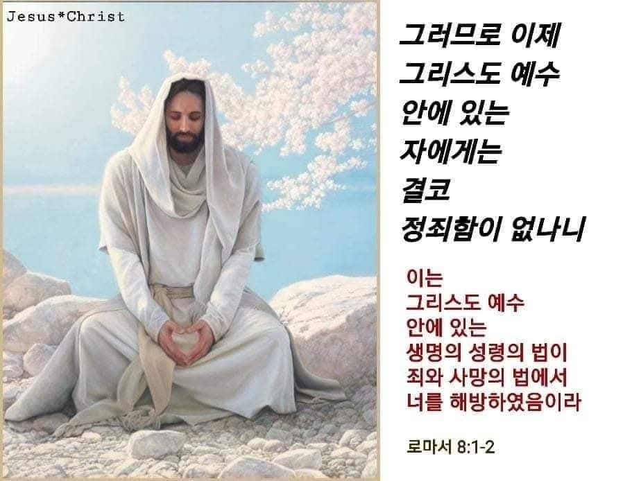 코람데오 이미지