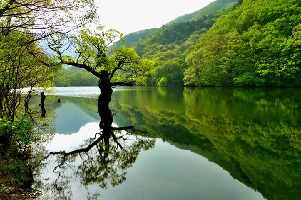 밭 이미지