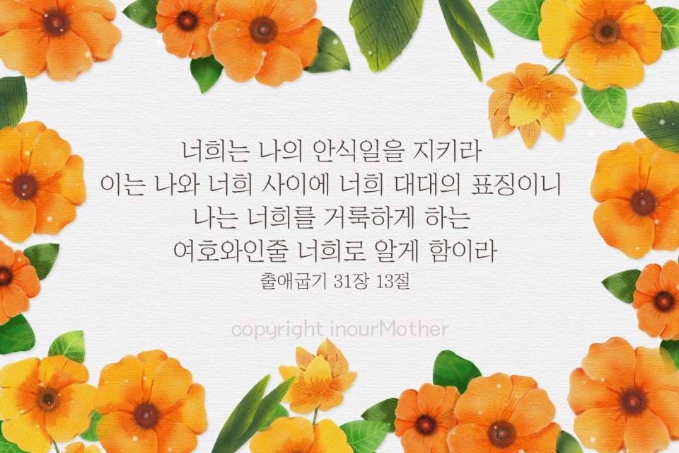 깔끔맨 이미지