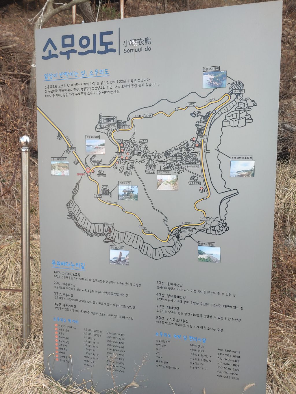 뗌리 이미지