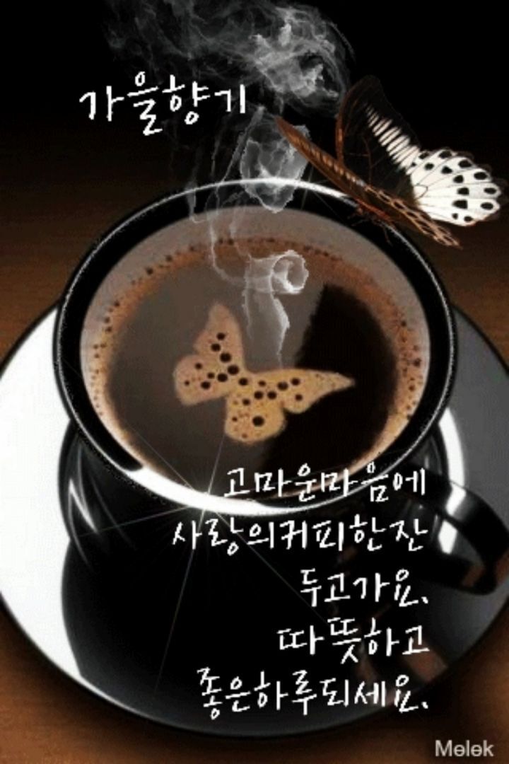 토로커피 이미지