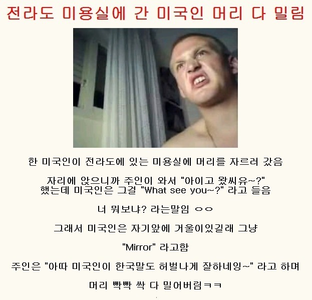 다밀림 이미지