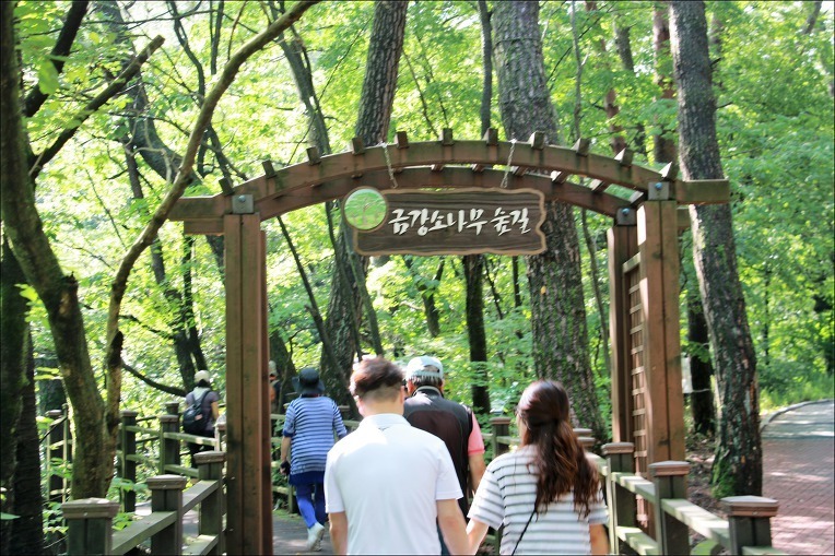 소나무회관 이미지