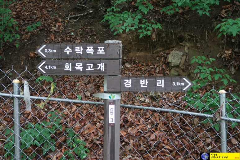 쌍용회관 이미지