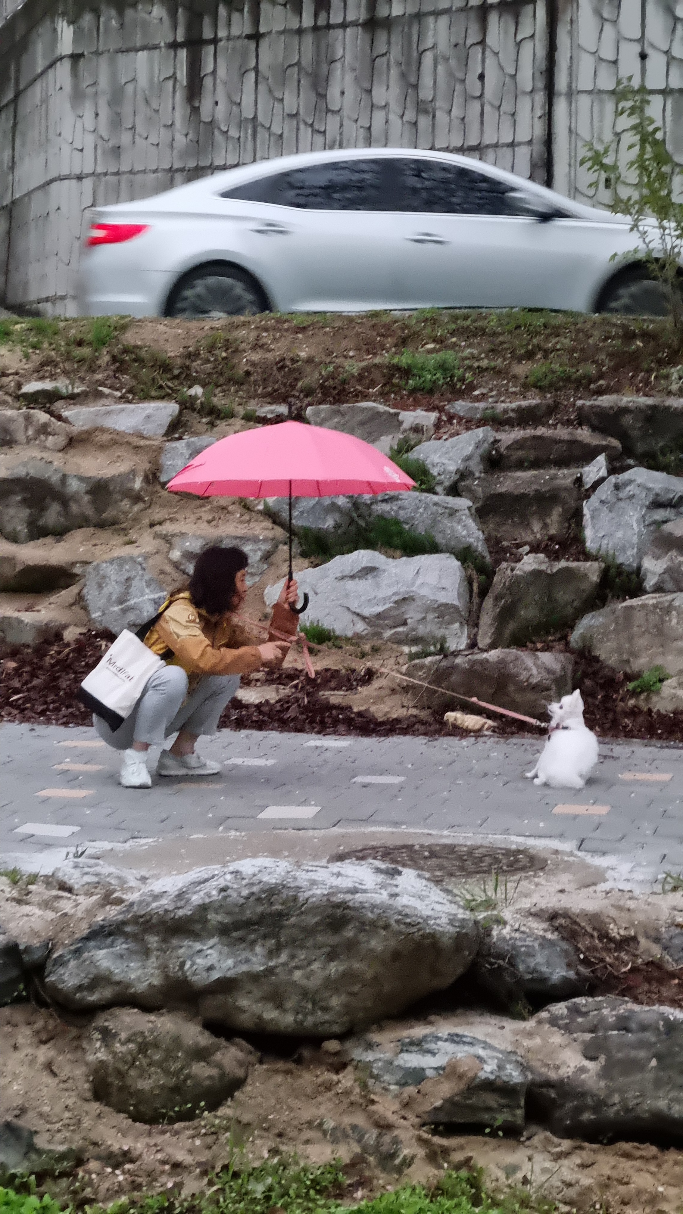 미용실언니 이미지