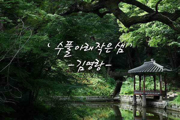 수풀 이미지