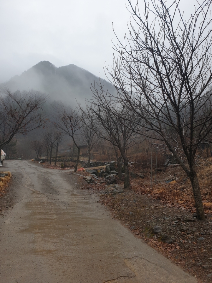 겨울여행 (영월산골초가펜션)떠나보세요 - ◈ 산 골 초 가 앨 범 ~ - 산골 초가집펜션, 산골 초가집펜션,