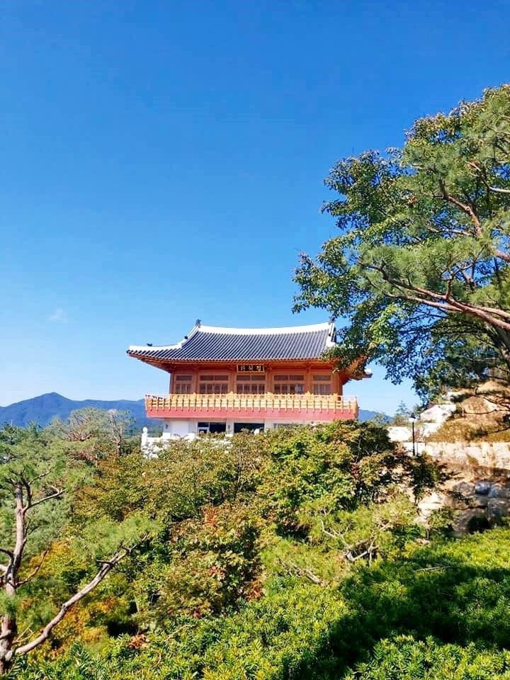 한원 이미지