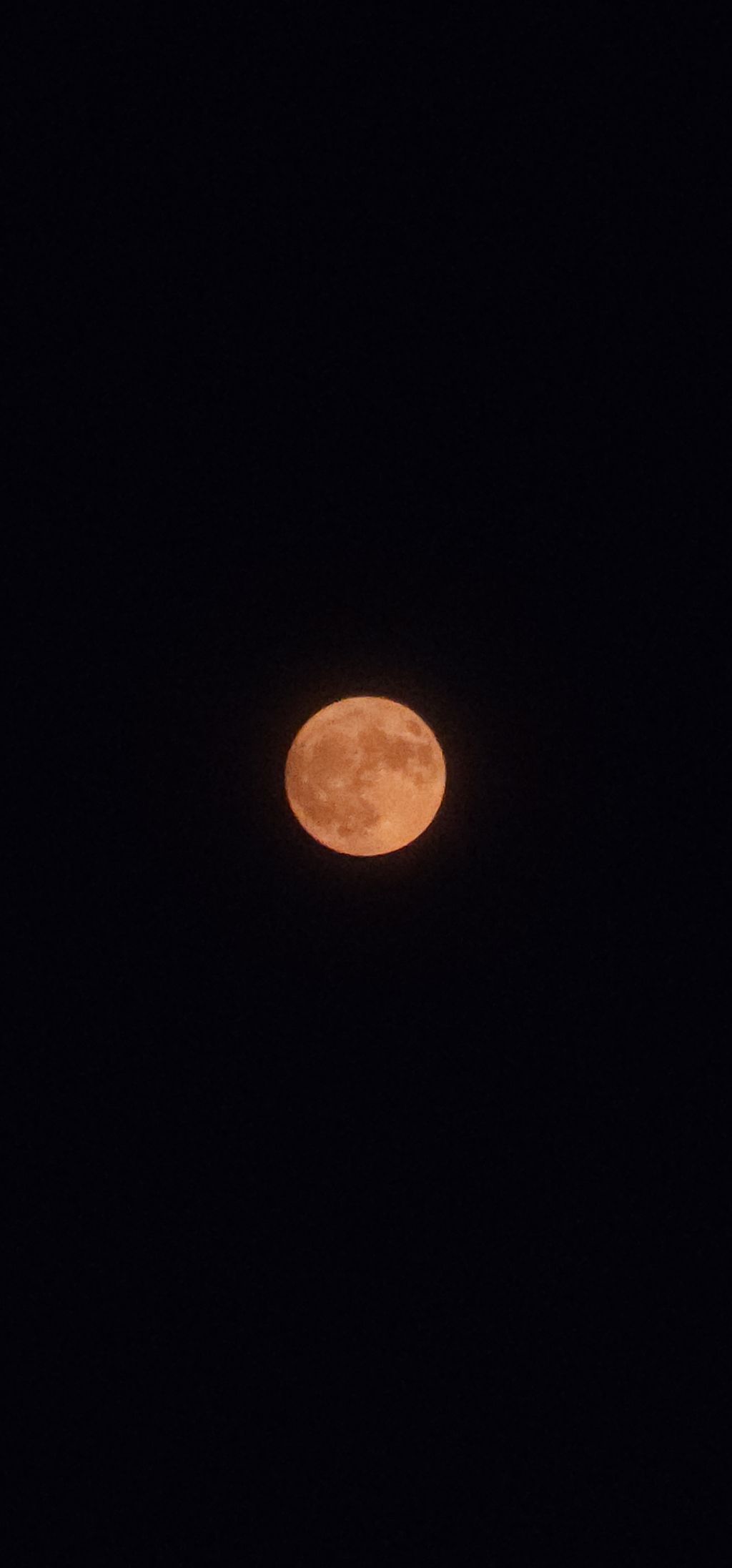 더문 이미지