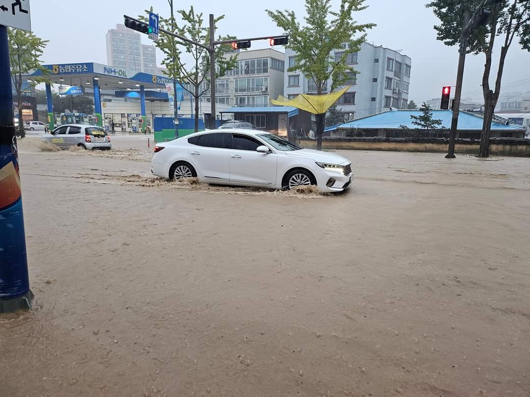 진도농협주유소 이미지