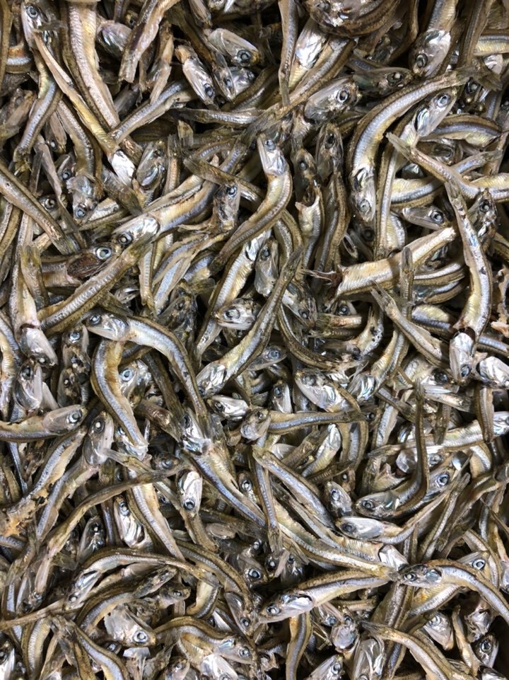 고바이제이 이미지