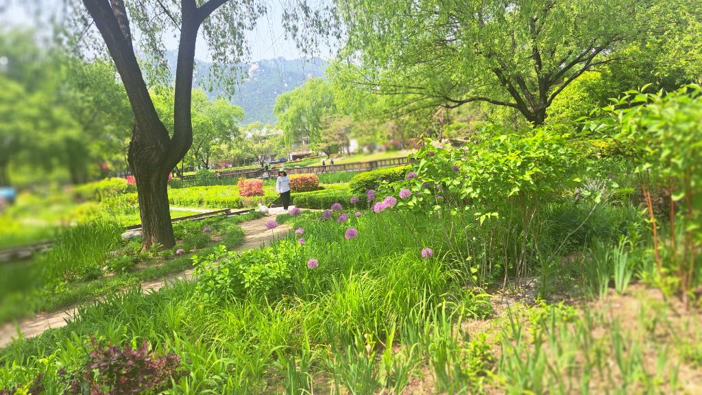 창포원 이미지