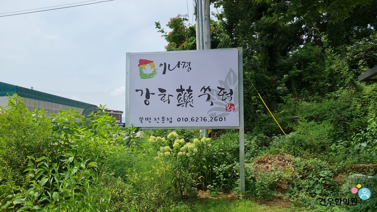 이나경강화약쑥떡 이미지
