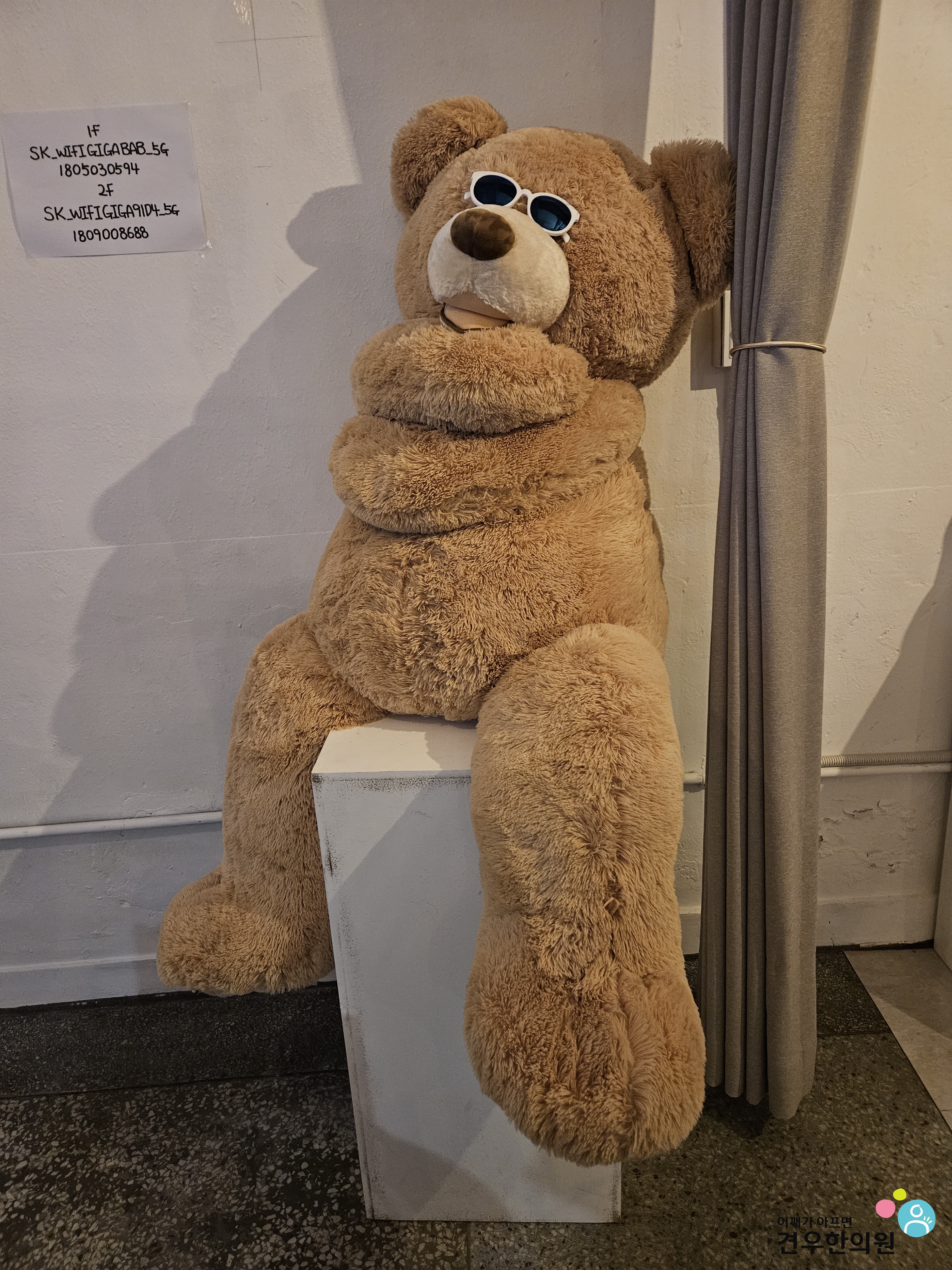 두앤두 이미지