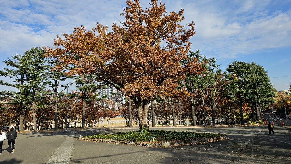 두류공원 이미지