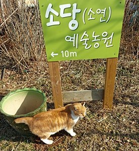 옹식구 이미지