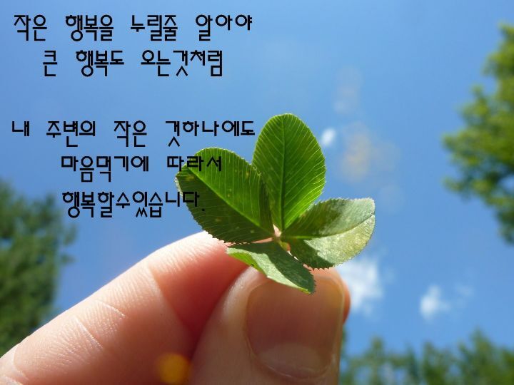 오늘의공기맑음 이미지