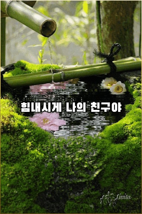 힘내시게 이미지