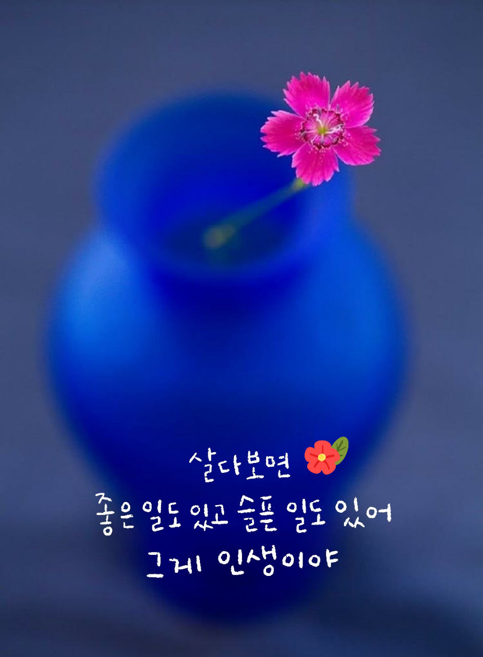 행복한선물 이미지