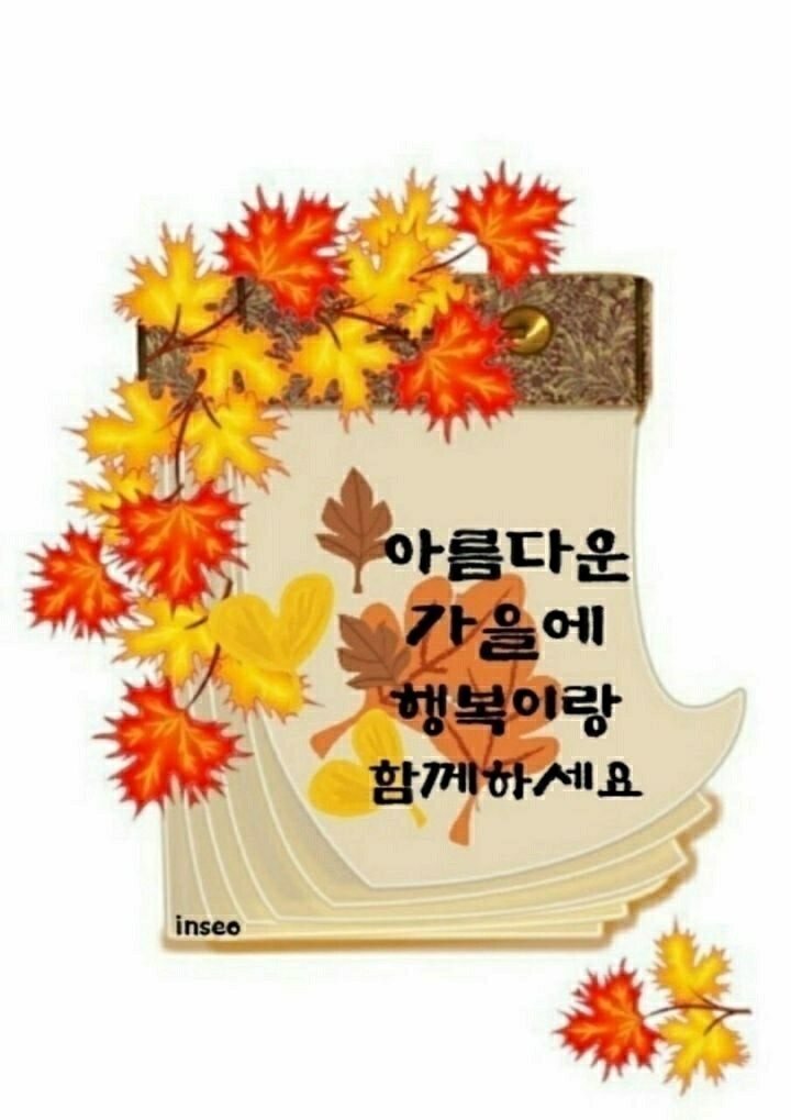 비누사랑 이미지