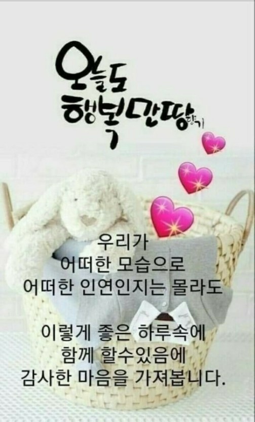 하루의 이미지