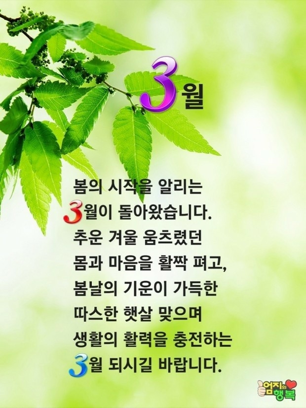 행복한3월 이미지