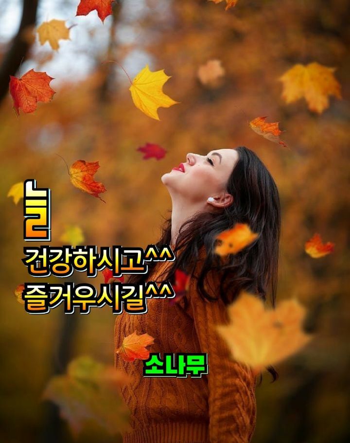 비누사랑 이미지