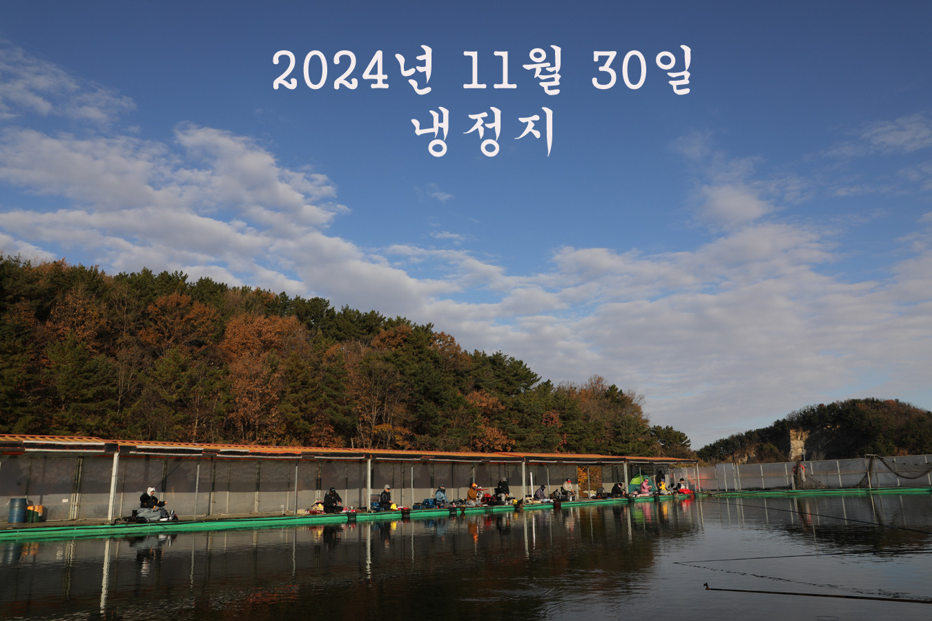 황금반점 이미지