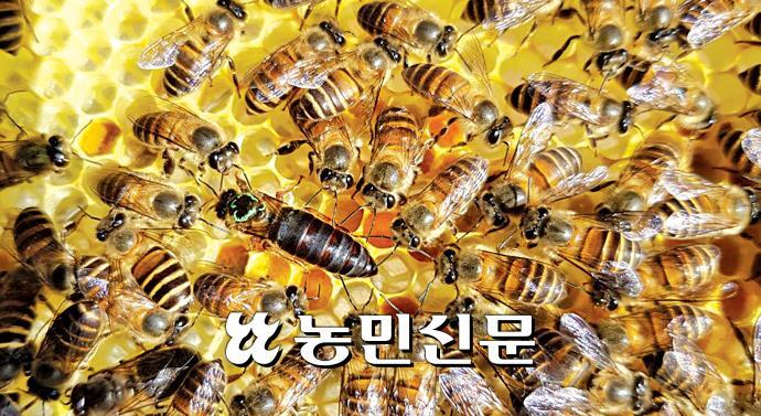 농촌진흥청(국립농업과학원) 이미지