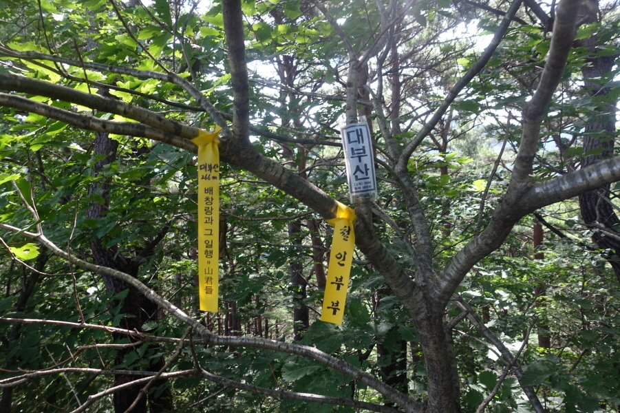 대부산 정상 이미지