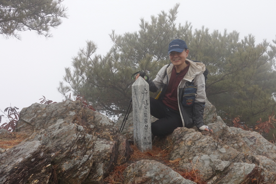 수산(자웅산) 이미지