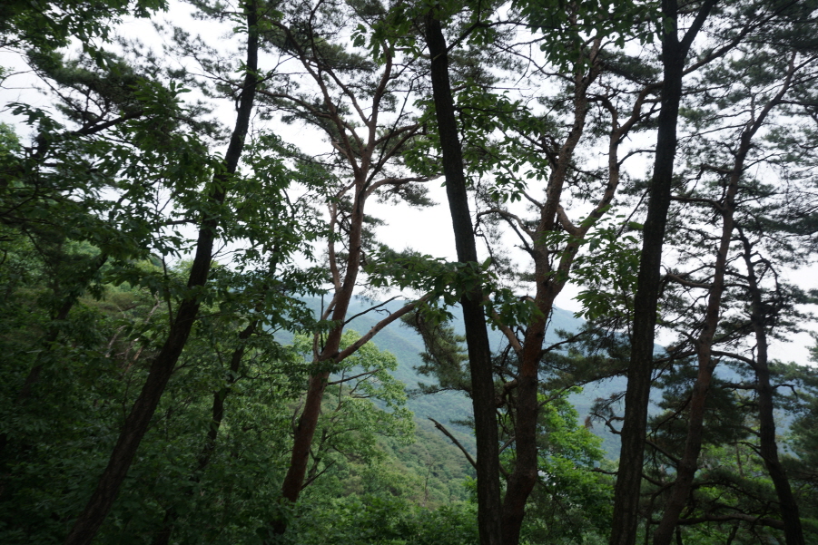 삼형제봉 정상 이미지
