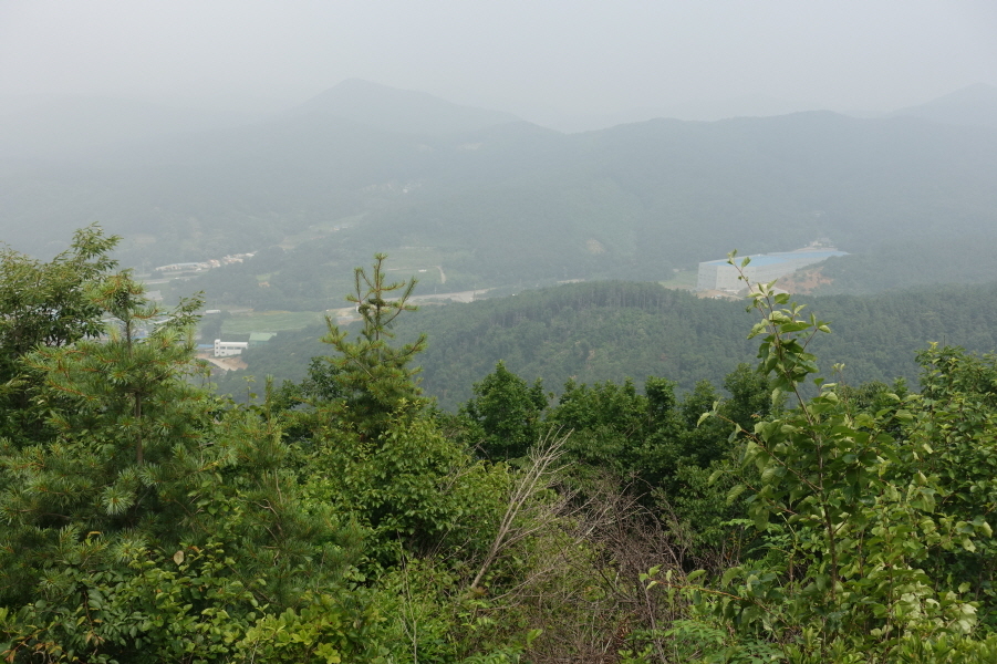 고성산 조망 이미지