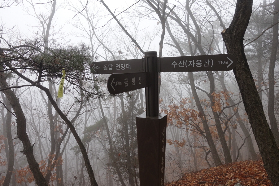 수산(자웅산) 이미지
