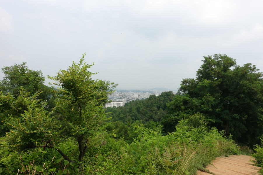 말미산정상 이미지