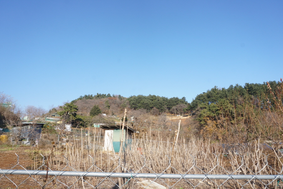 강원농산 이미지